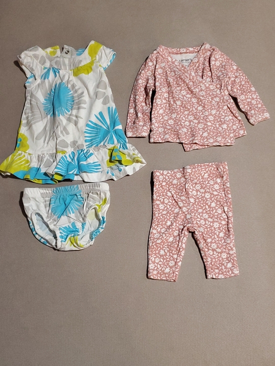 Carter's Other - 4 Piece Carter's Newborn Girl Outfit Bundle